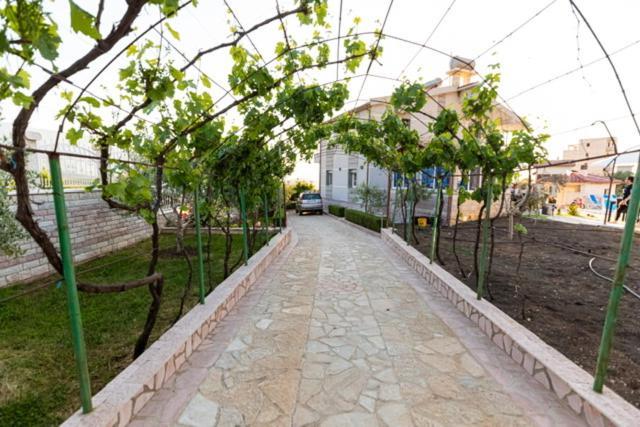 Vila Llano Vlorë 外观 照片